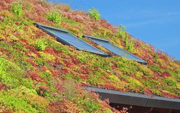 Old Basford living roof systems