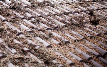 Old Basford roof cleaning companies